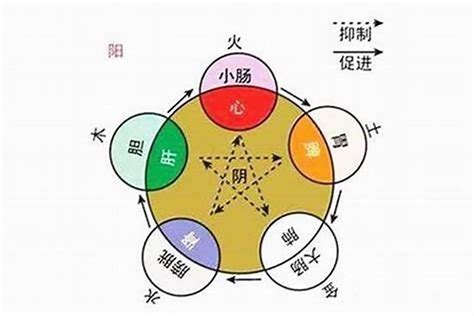 旭五行|旭在八字中有什么意思 (旭字的五行属性是什么)